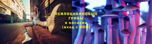 spice Богданович