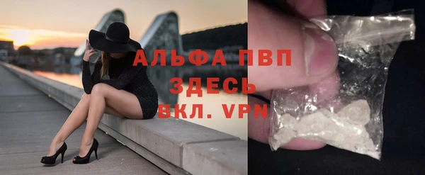 spice Богданович