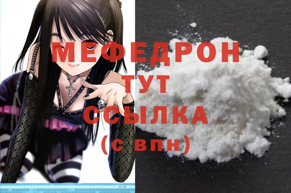 МДПВ Богородск
