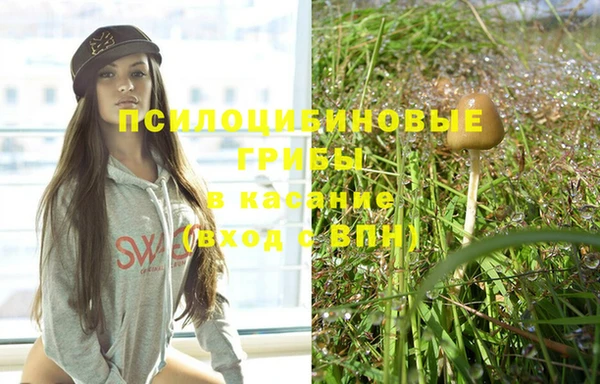 spice Богданович
