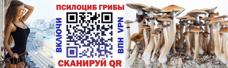 Псилоцибиновые грибы мицелий  Шахунья 