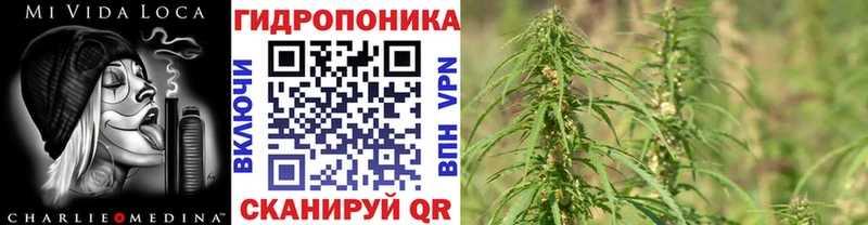как найти закладки  Шахунья  МАРИХУАНА конопля 